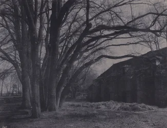 Courances Park Farm